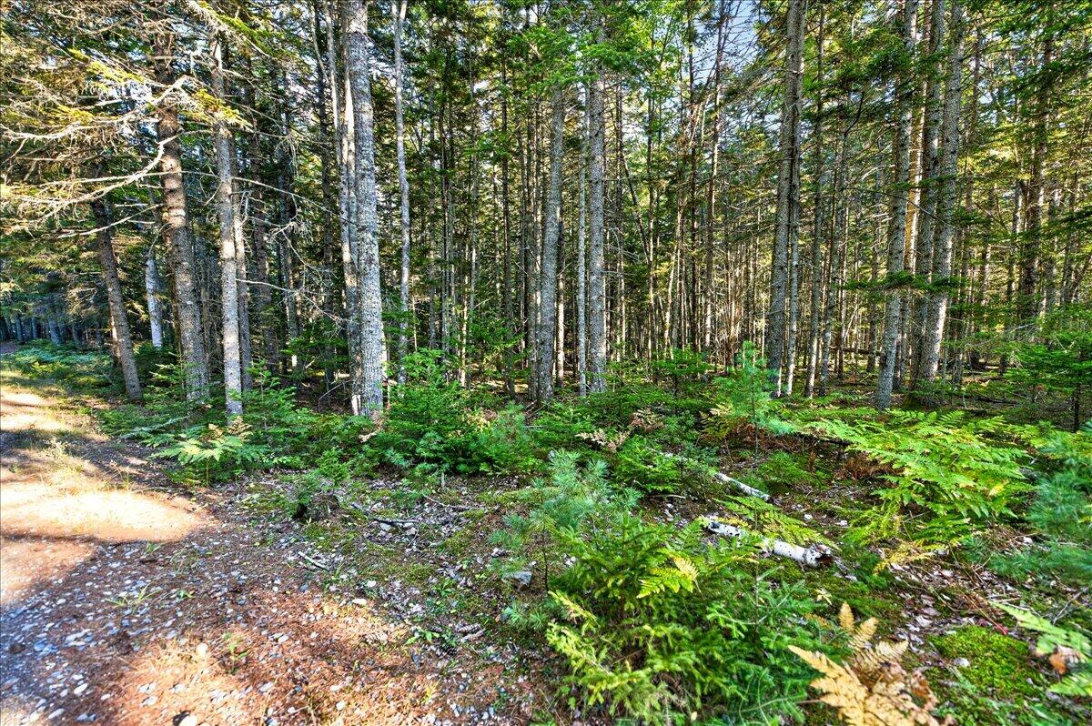 Tbd Pretty Marsh Road Property Photo 4