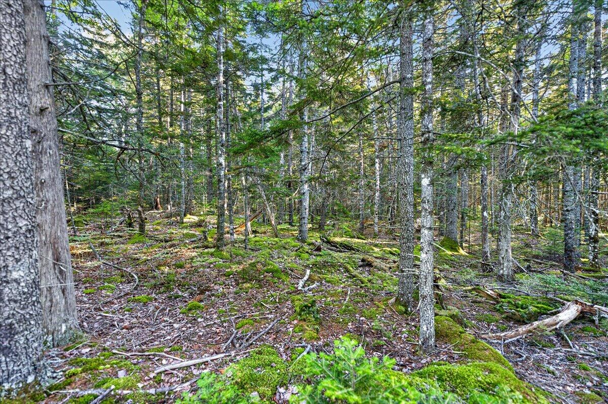 Tbd Pretty Marsh Road Property Photo 5