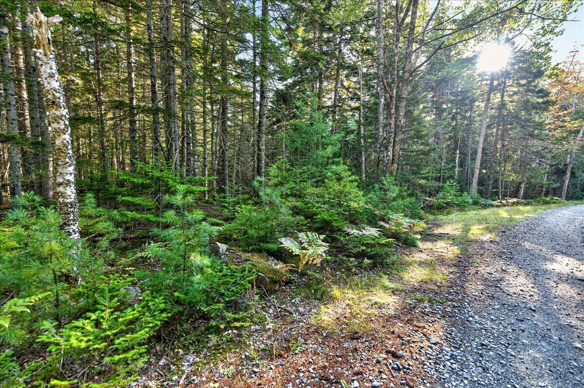 Tbd Pretty Marsh Road Property Photo 17