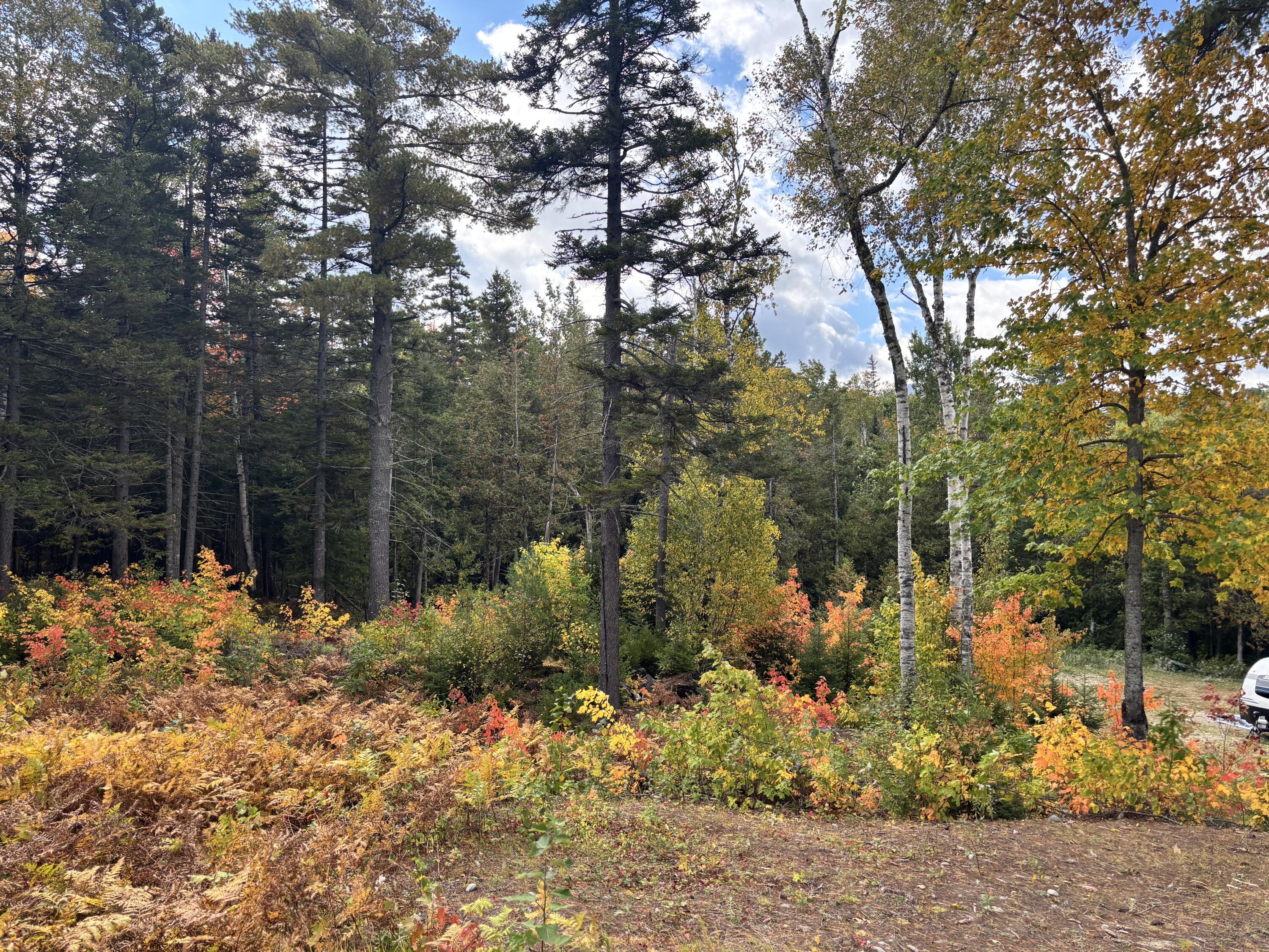 3039 Carrabassett Drive Property Photo 4