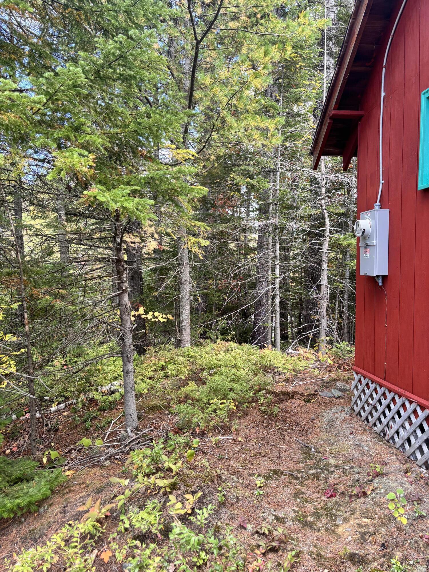 3039 Carrabassett Drive Property Photo 18