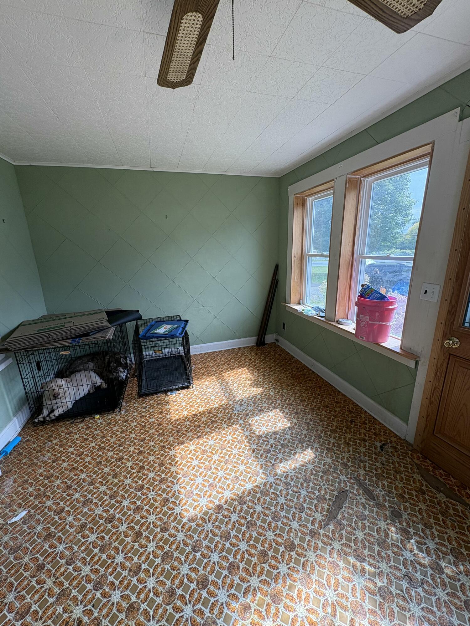 536 Main Road Property Photo 10
