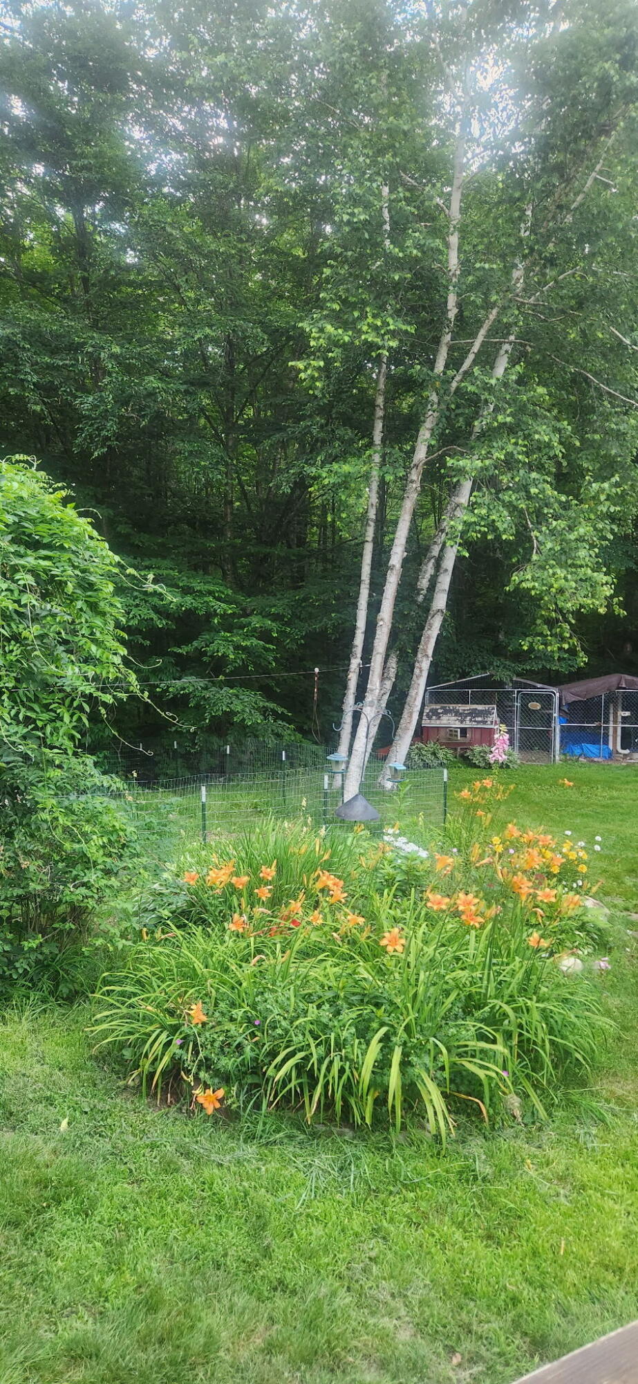 236 Us Rt 2 E Road Property Photo 62