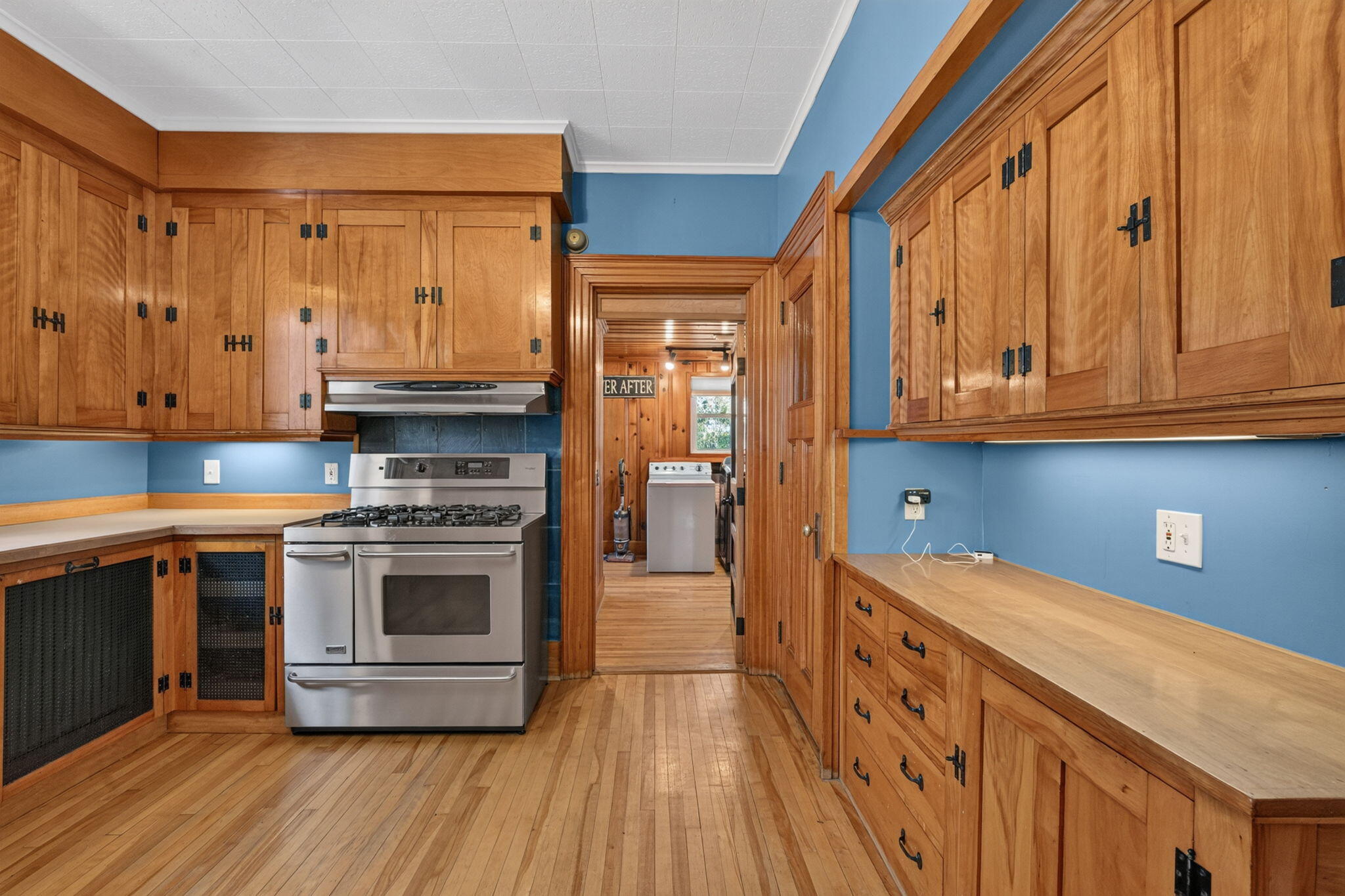 9 Mckinley Street Property Photo 18