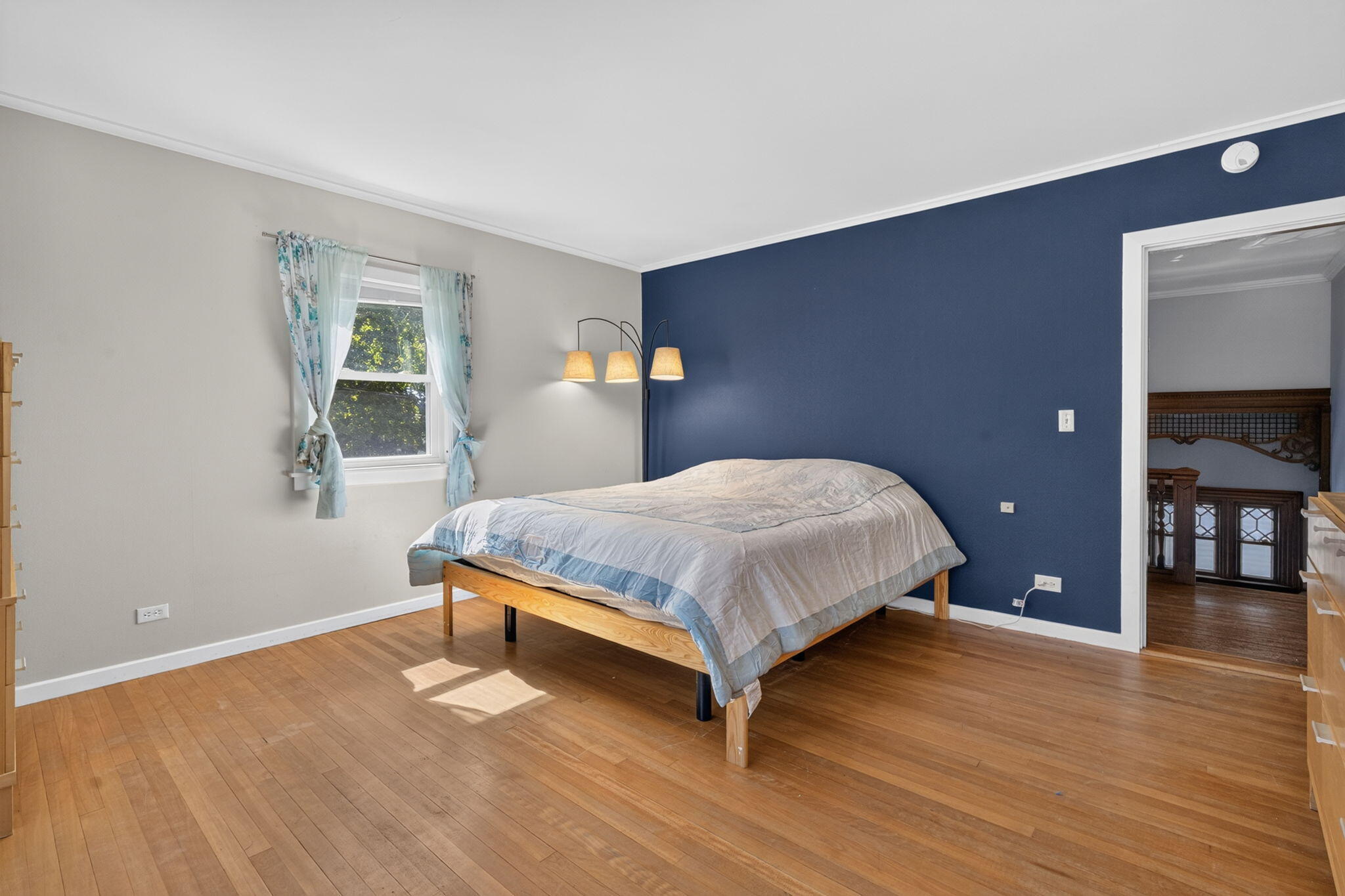 9 Mckinley Street Property Photo 30