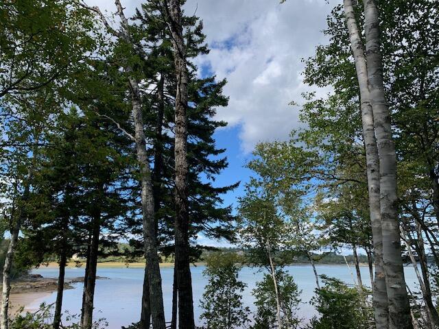 Lot 56 Off Dunns Point Way Property Photo 1