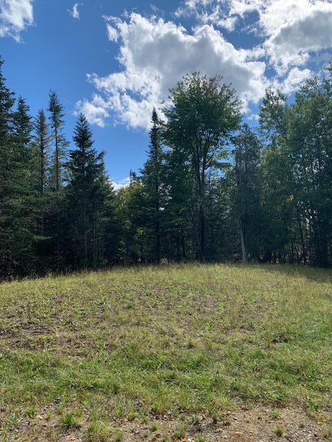 Lot 56 Off Dunns Point Way Property Photo 6