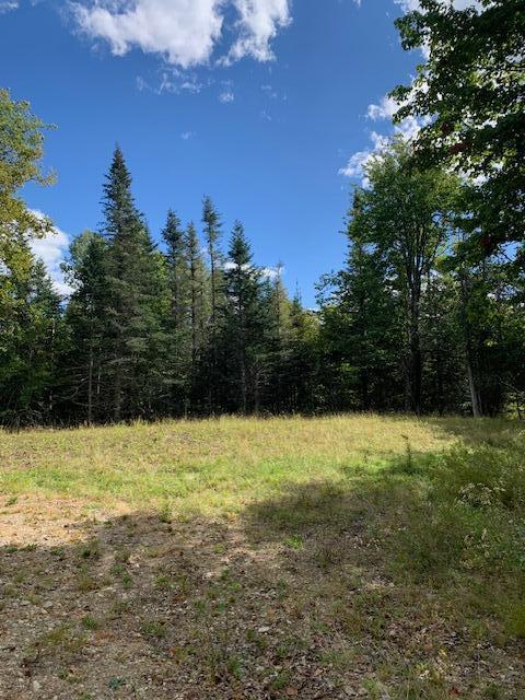 Lot 56 Off Dunns Point Way Property Photo 7