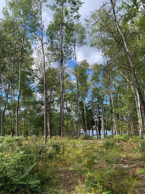 Lot 56 Off Dunns Point Way Property Photo 8
