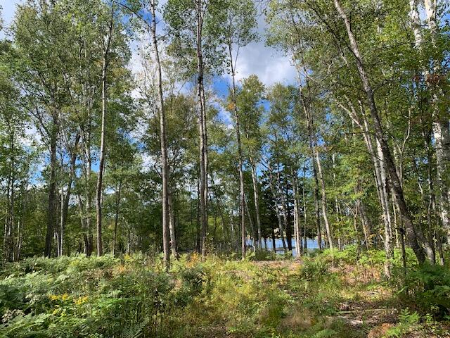 Lot 56 Off Dunns Point Way Property Photo 9