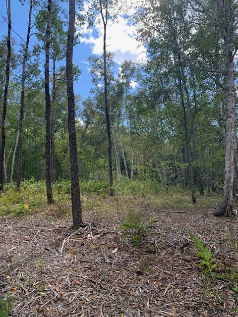 Lot 56 Off Dunns Point Way Property Photo 10