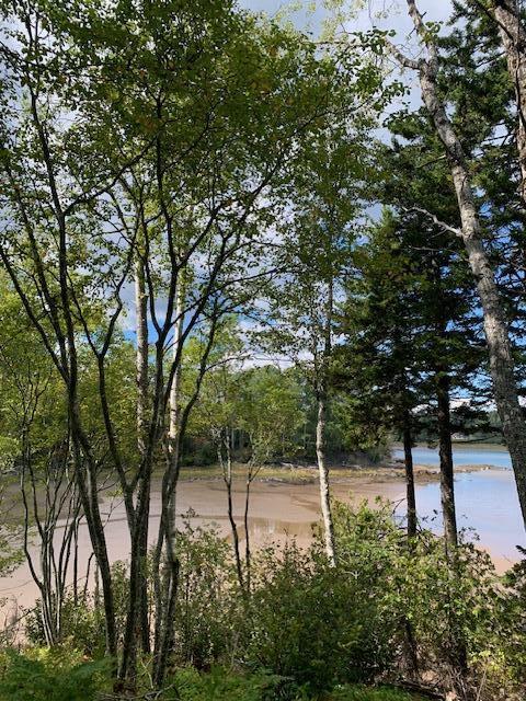Lot 56 Off Dunns Point Way Property Photo 11