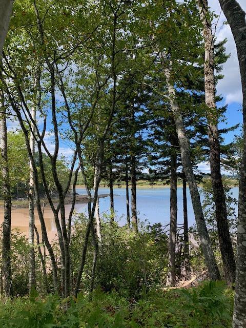 Lot 56 Off Dunns Point Way Property Photo 12