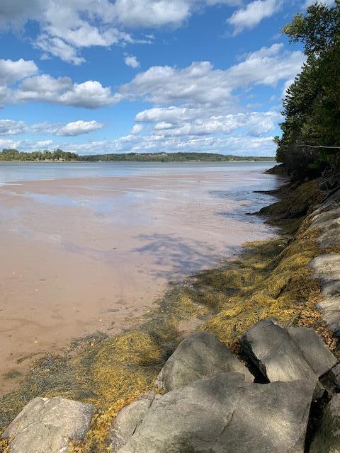 Lot 56 Off Dunns Point Way Property Photo 13