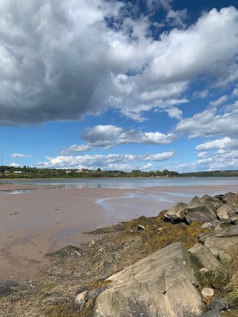 Lot 56 Off Dunns Point Way Property Photo 17