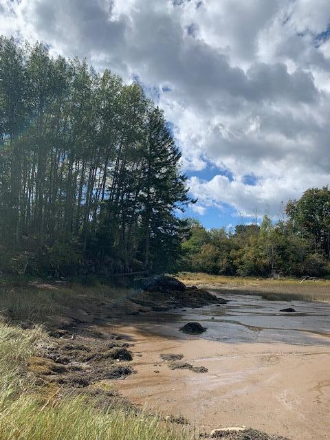 Lot 56 Off Dunns Point Way Property Photo 18