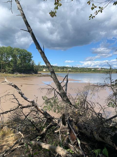 Lot 56 Off Dunns Point Way Property Photo 19
