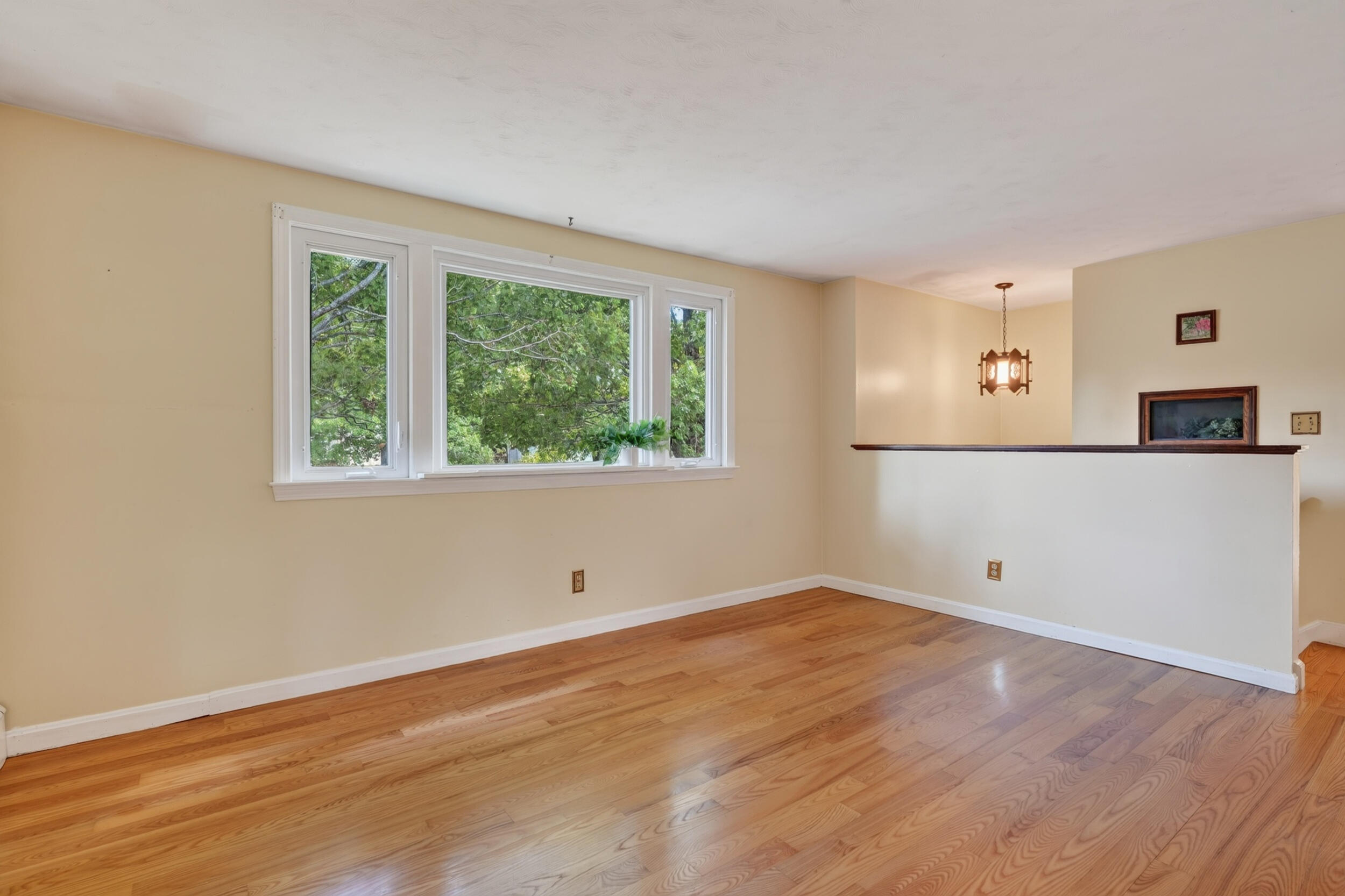 19 Ellen Circle Property Photo 18