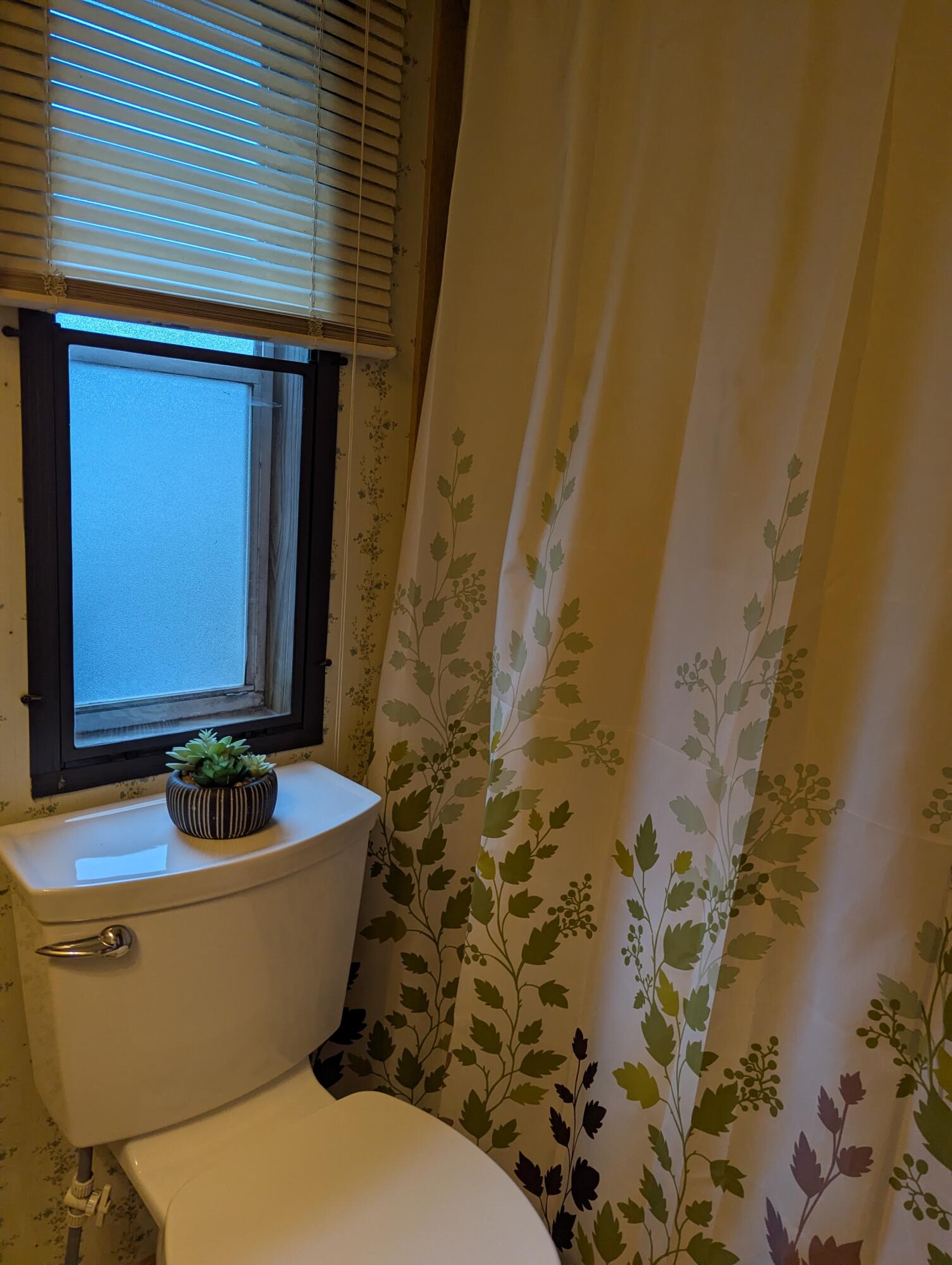 5 Victoria Drive Property Photo 14