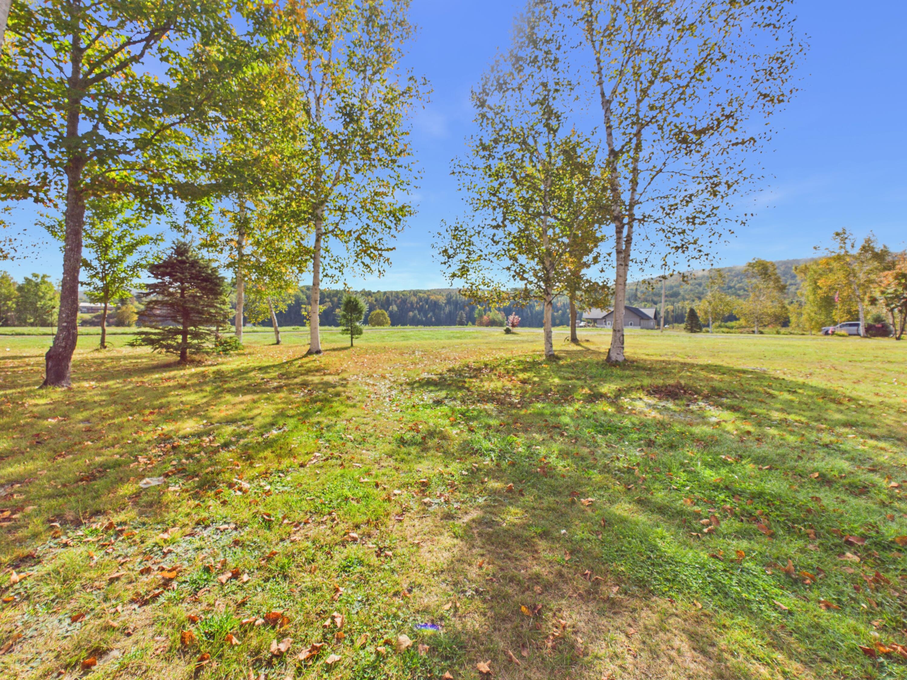10 Dickey Road Property Photo 66