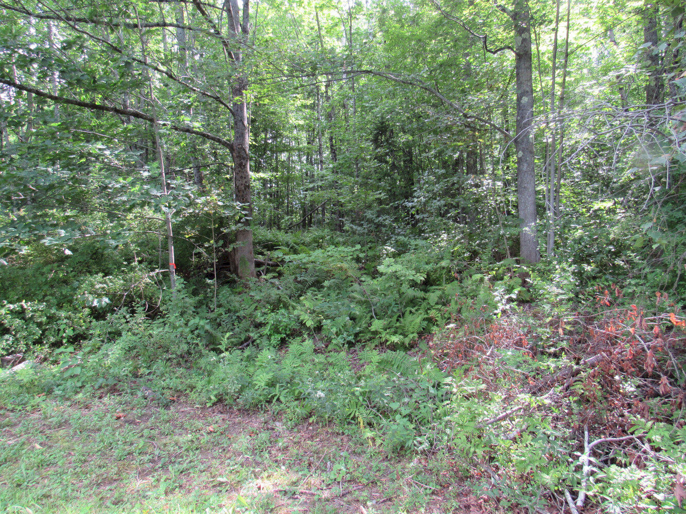 118 Preble Avenue Property Photo 9
