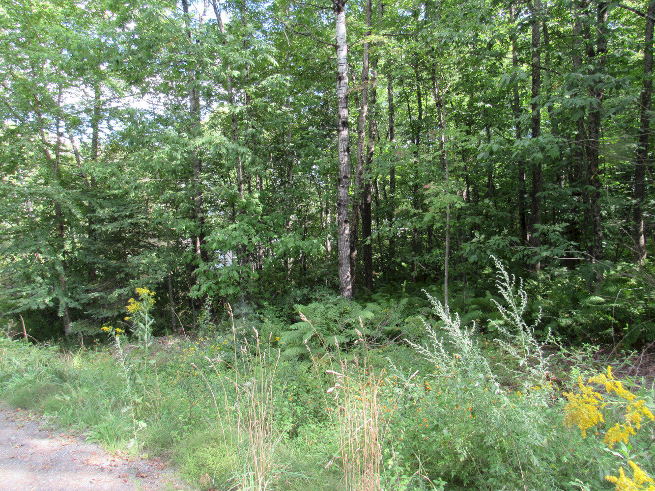 118 Preble Avenue Property Photo 14