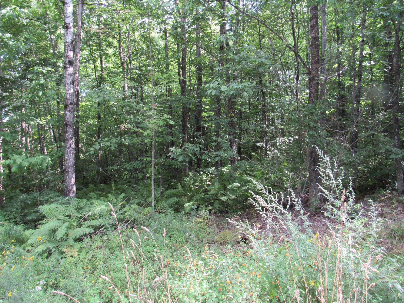 118 Preble Avenue Property Photo 15