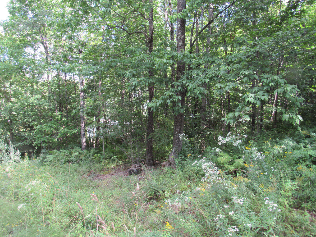 118 Preble Avenue Property Photo 16