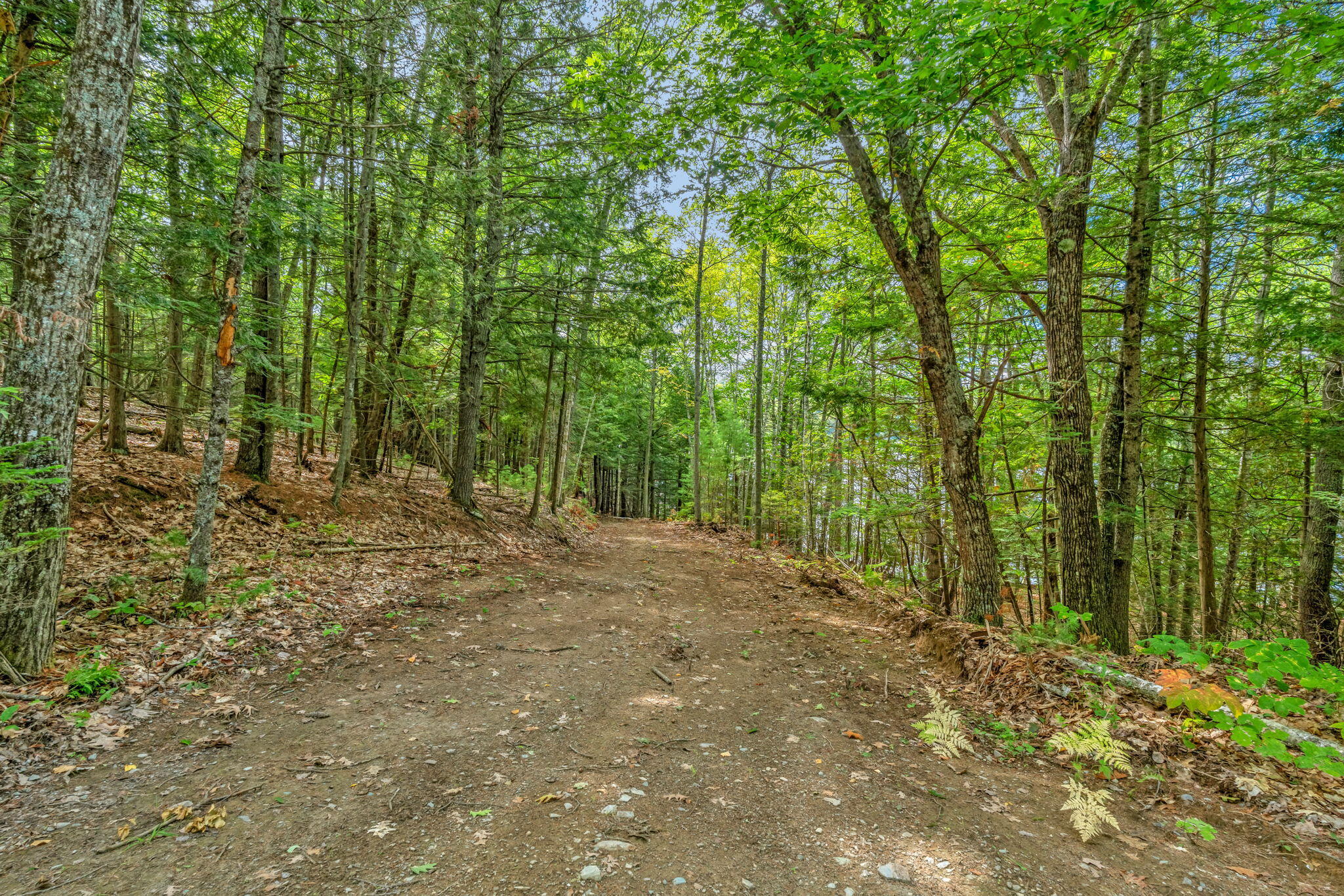 Lot30&35 Artic Station Road Property Photo 3