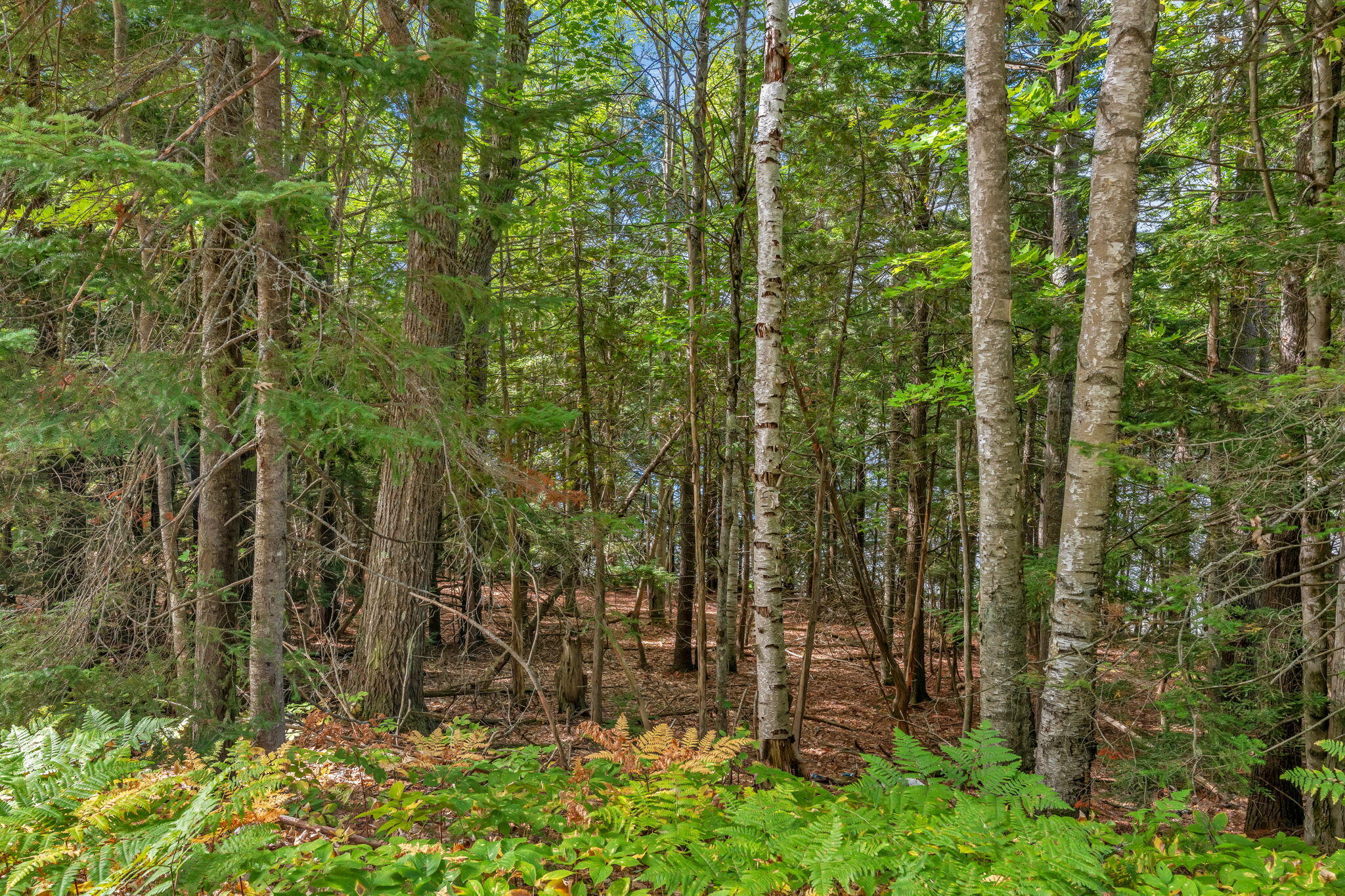 Lot30&35 Artic Station Road Property Photo 6