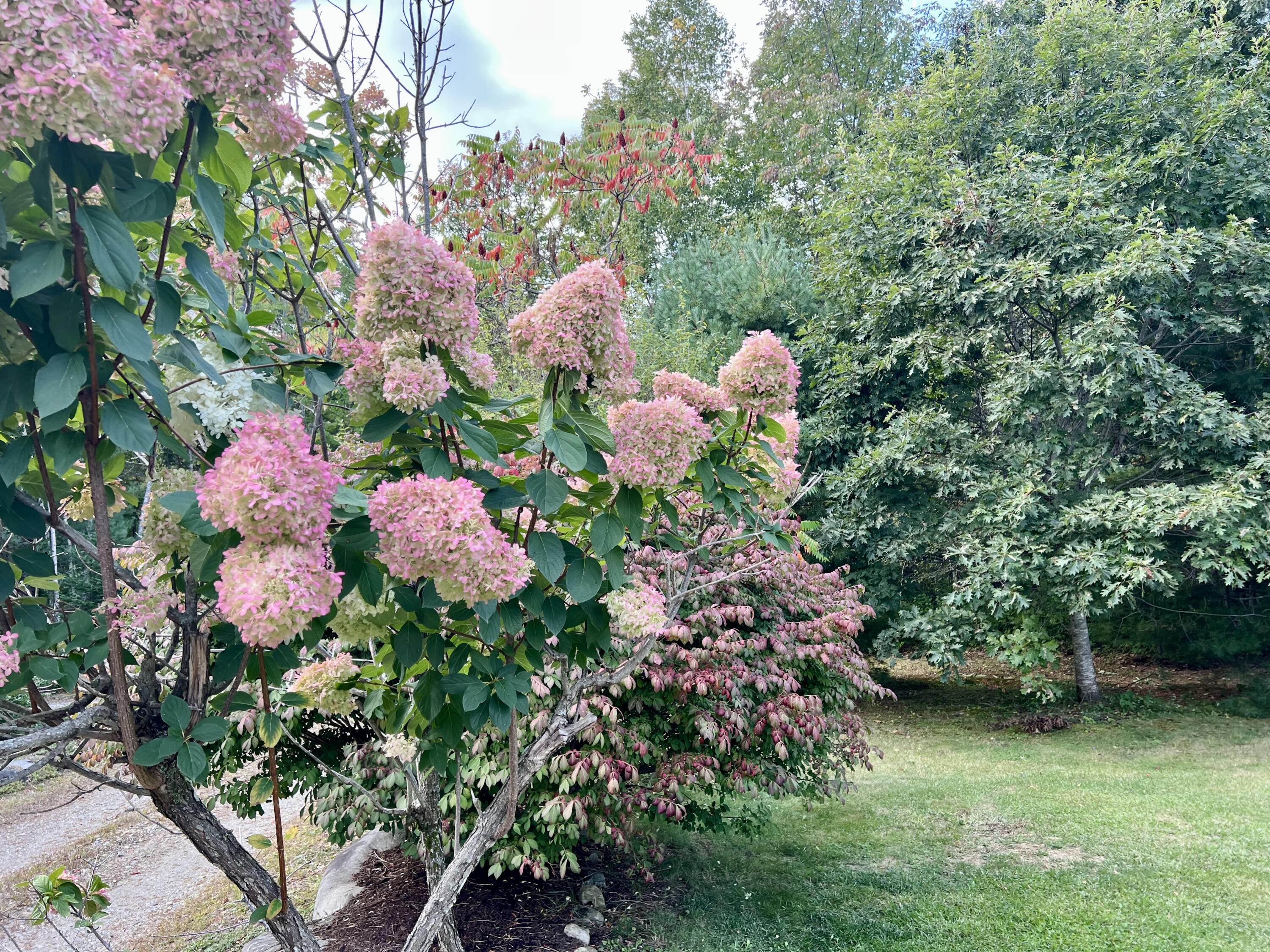 2 Blueberry Lane Property Photo 44