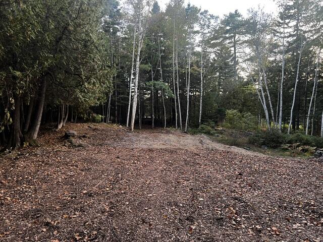 68 Tuttle Drive Property Photo 13