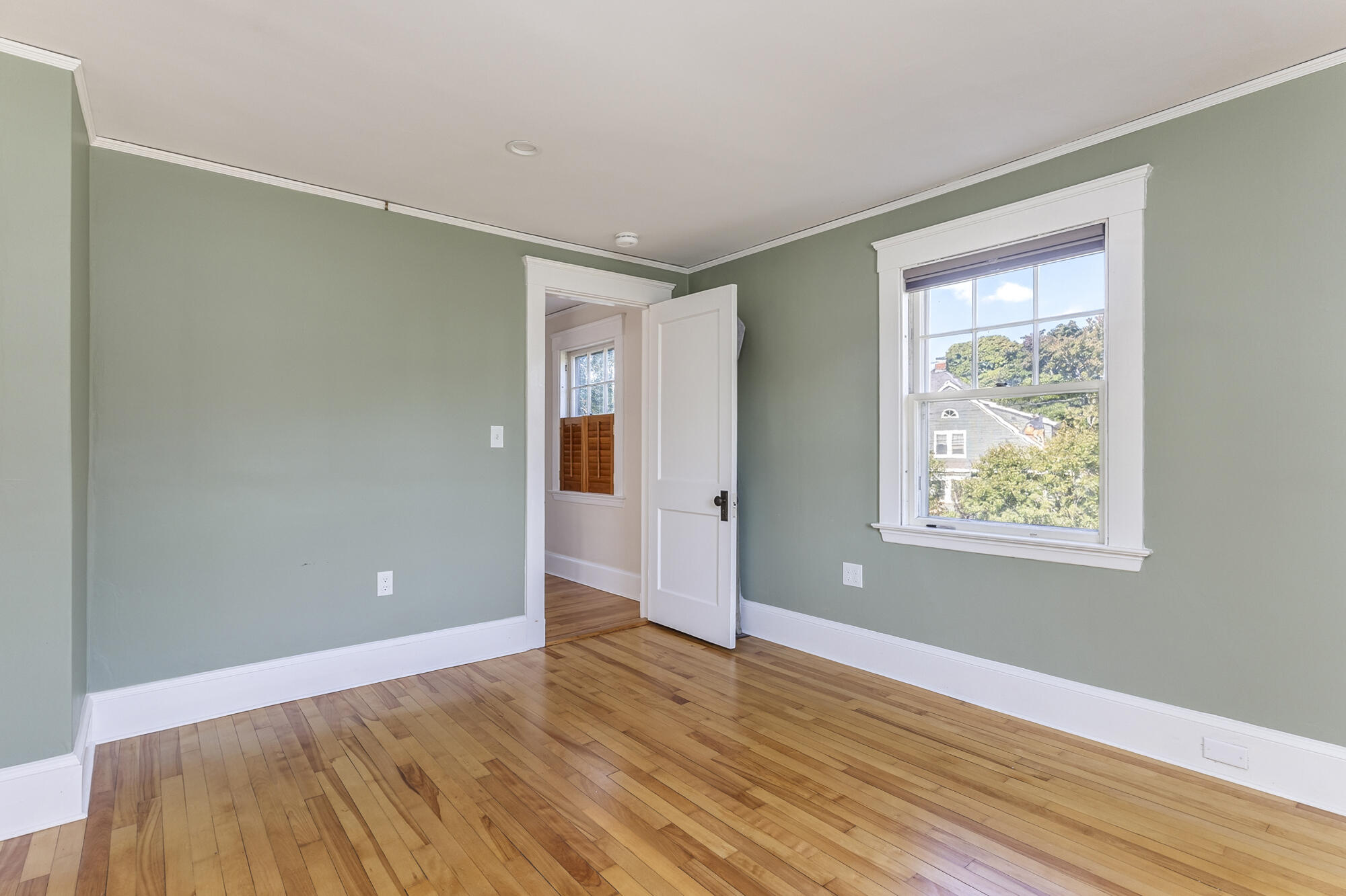 4 Woodmont Street Property Photo 66