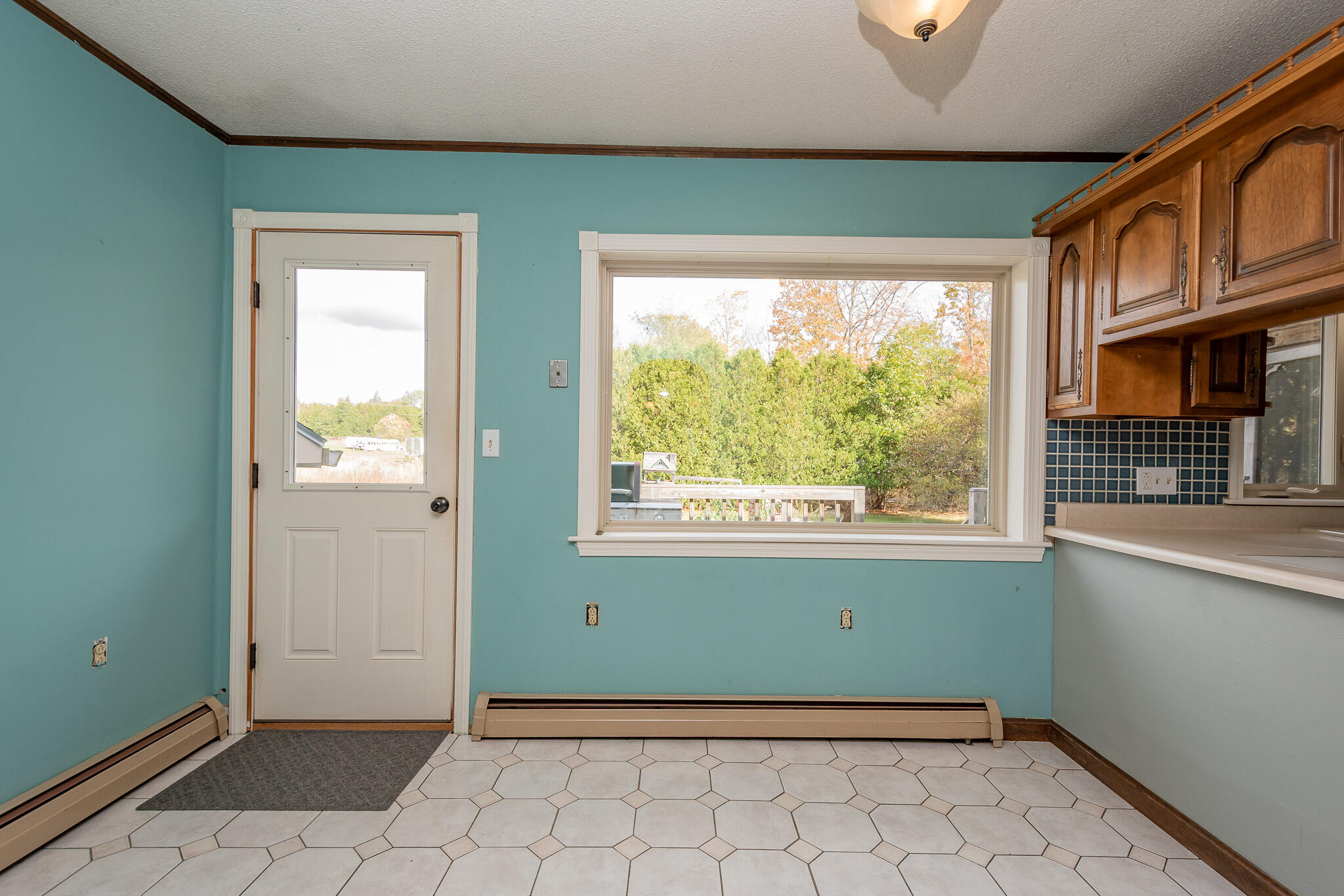 184 Main Road Property Photo 60