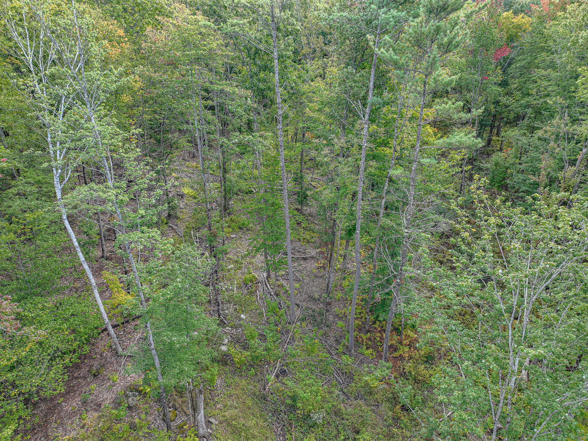 Lot 23 Paradis Road Property Photo 5