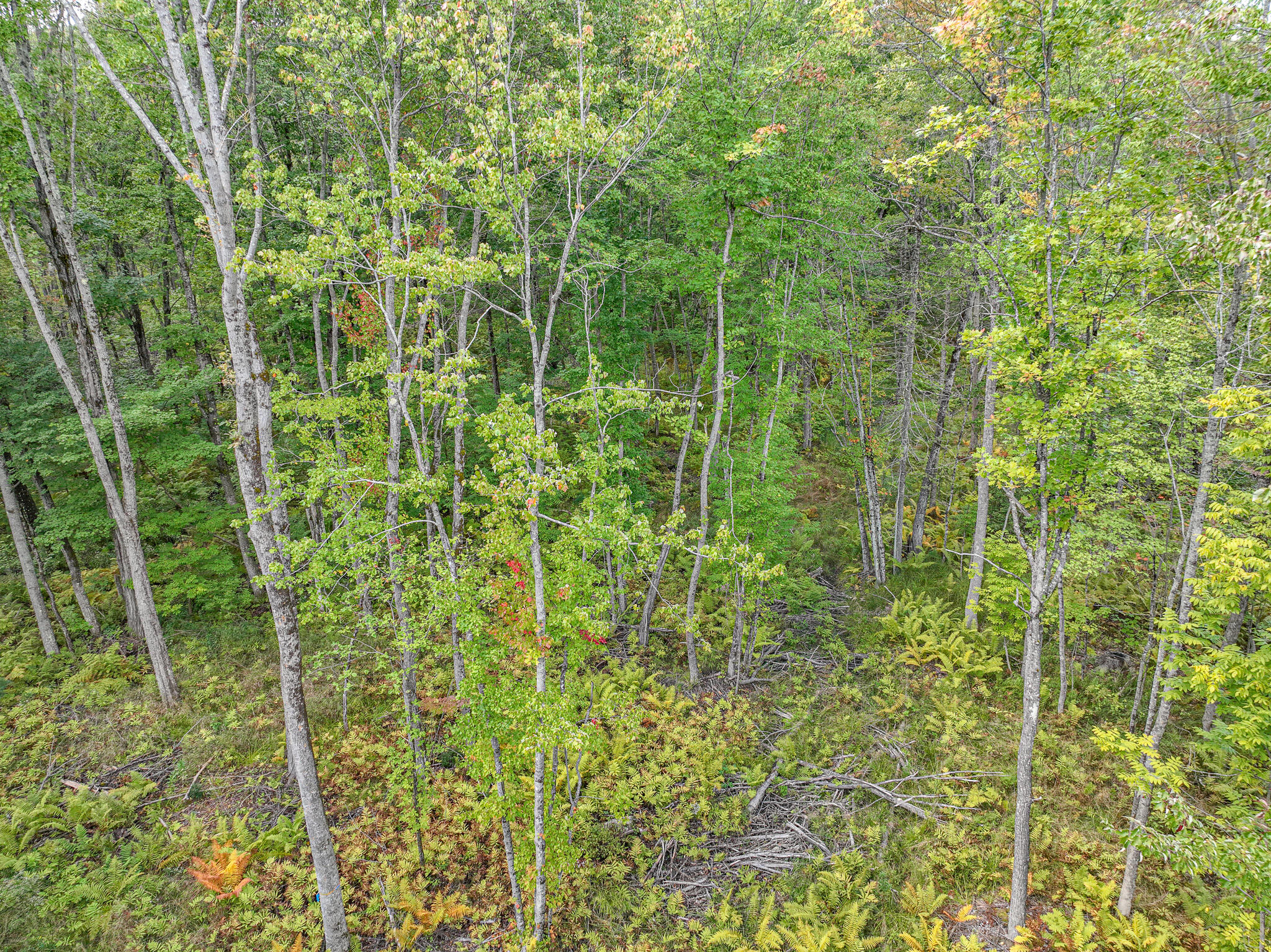 Lot 23 Paradis Road Property Photo 6