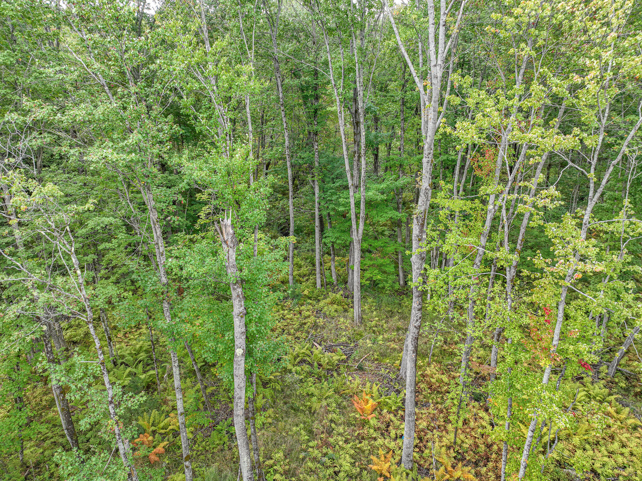 Lot 23 Paradis Road Property Photo 7