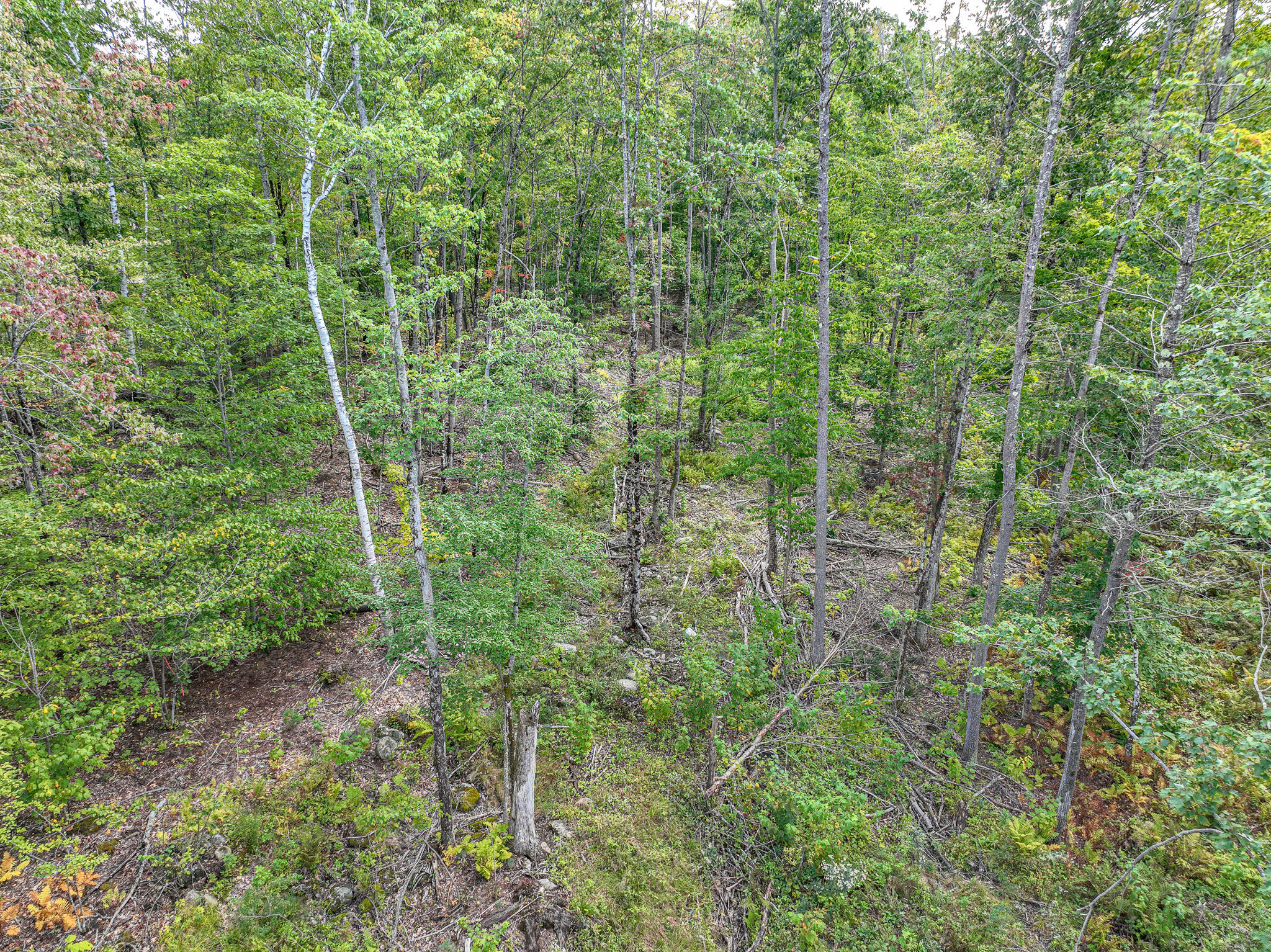 Lot 23 Paradis Road Property Photo 8