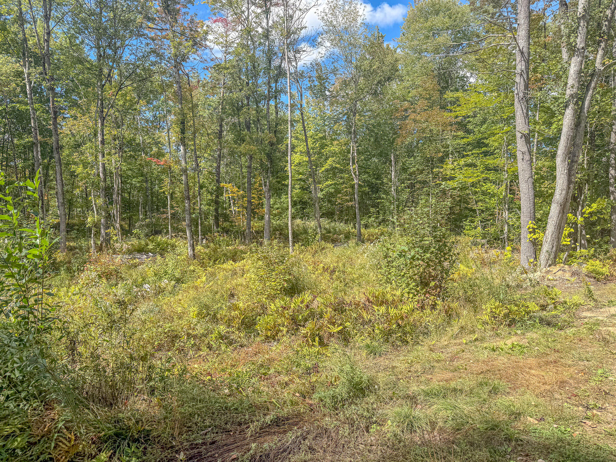 Lot 23 Paradis Road Property Photo 10