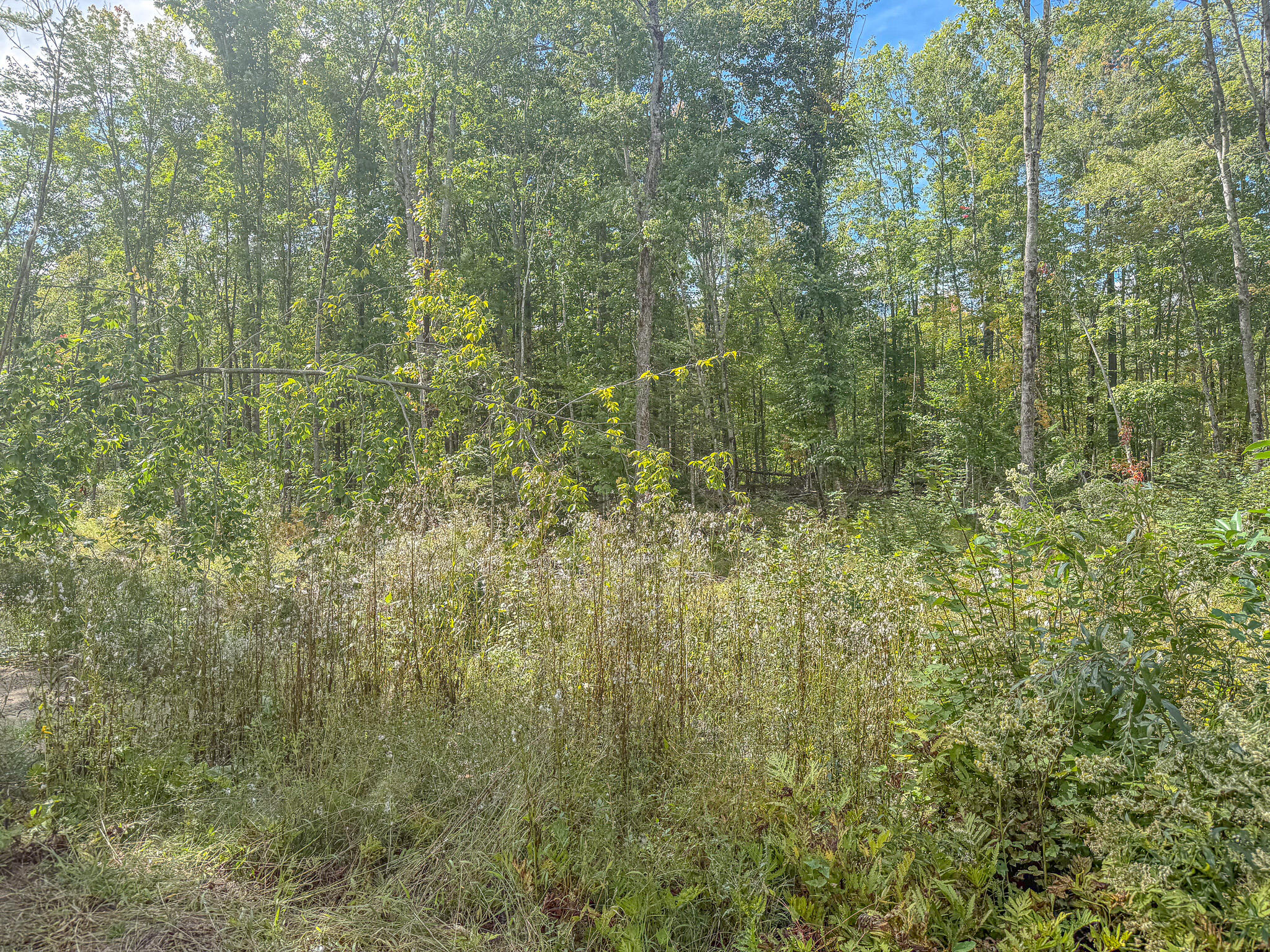 Lot 23 Paradis Road Property Photo 12
