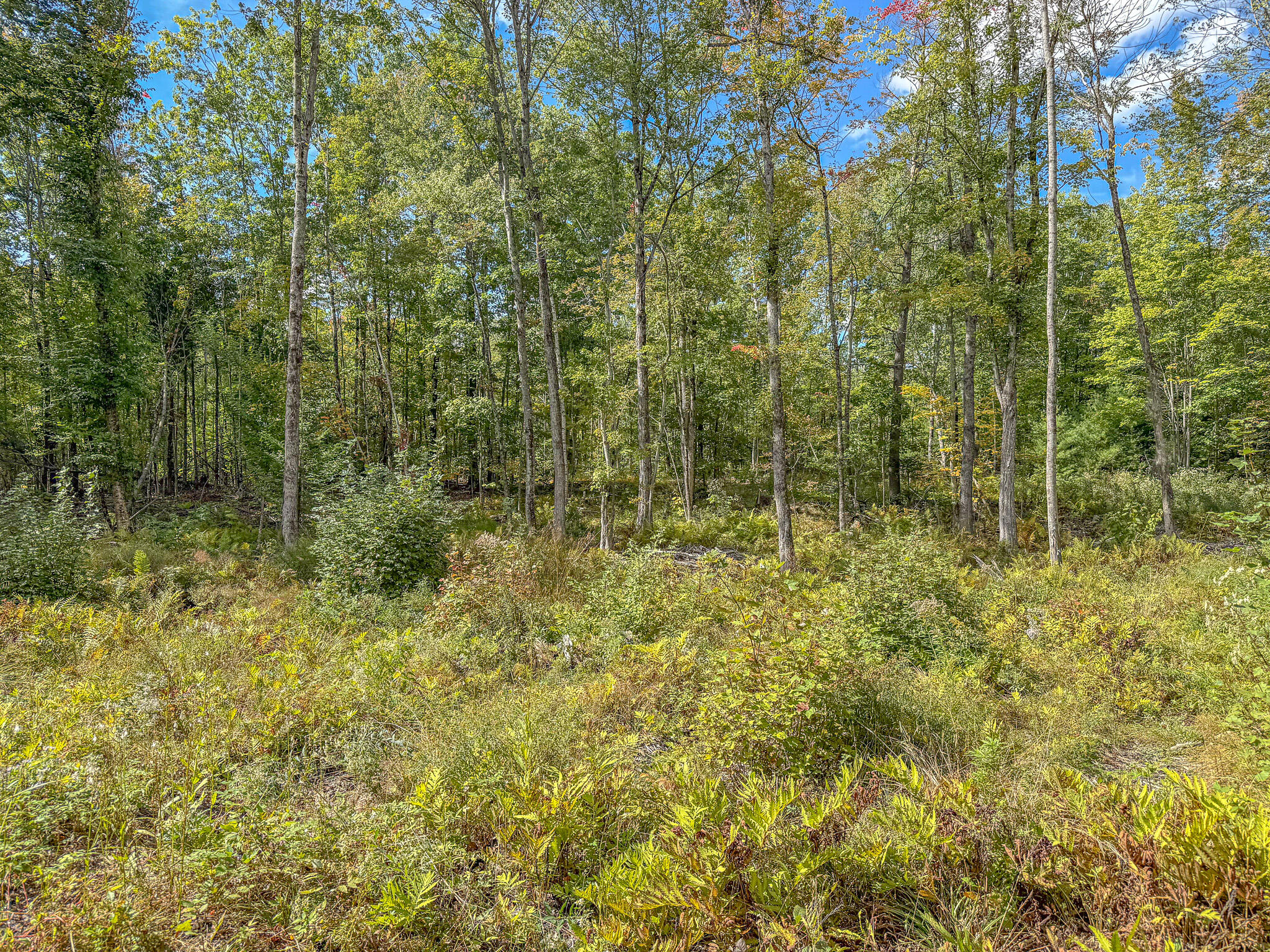 Lot 23 Paradis Road Property Photo 13