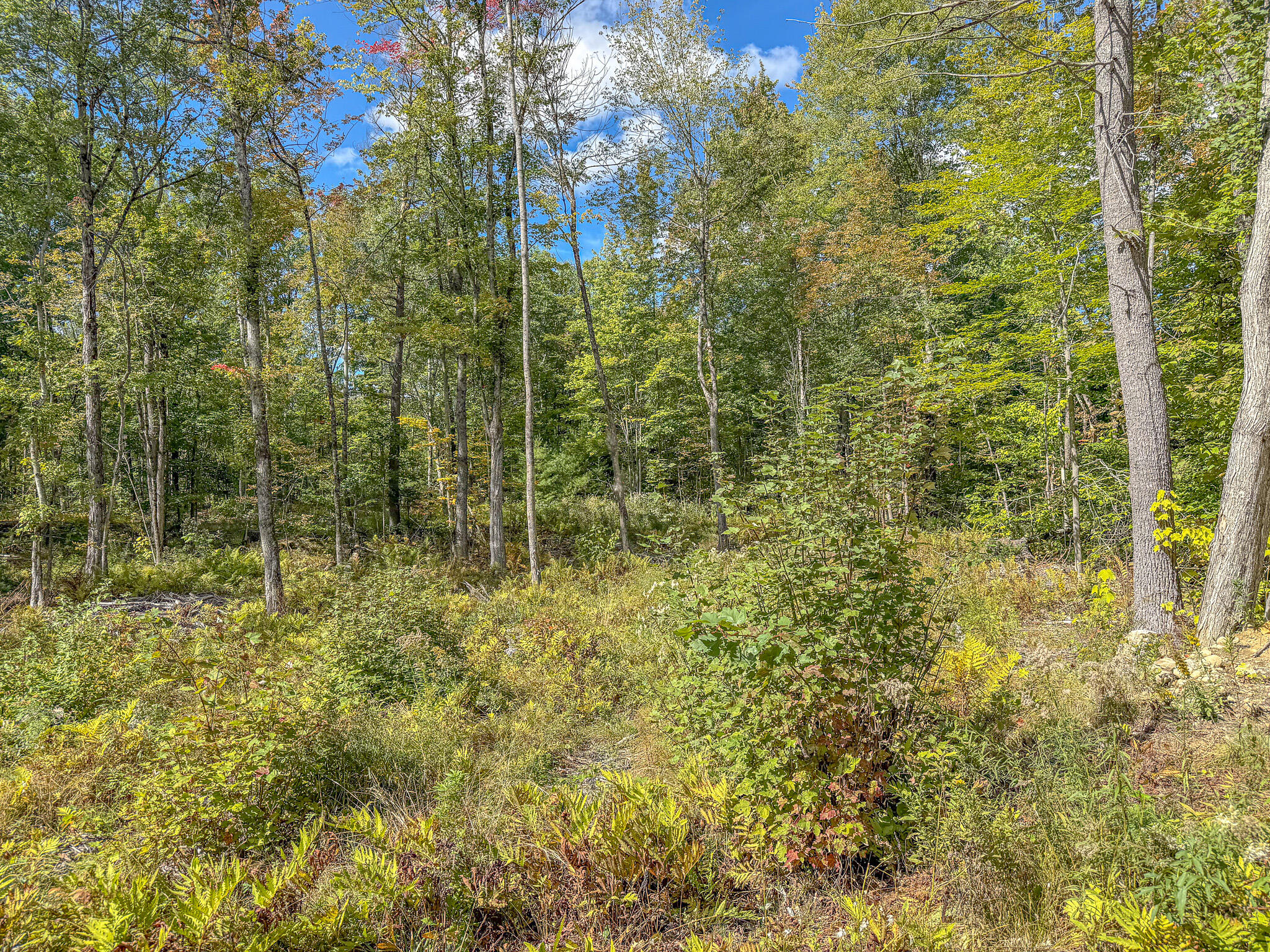 Lot 23 Paradis Road Property Photo 15
