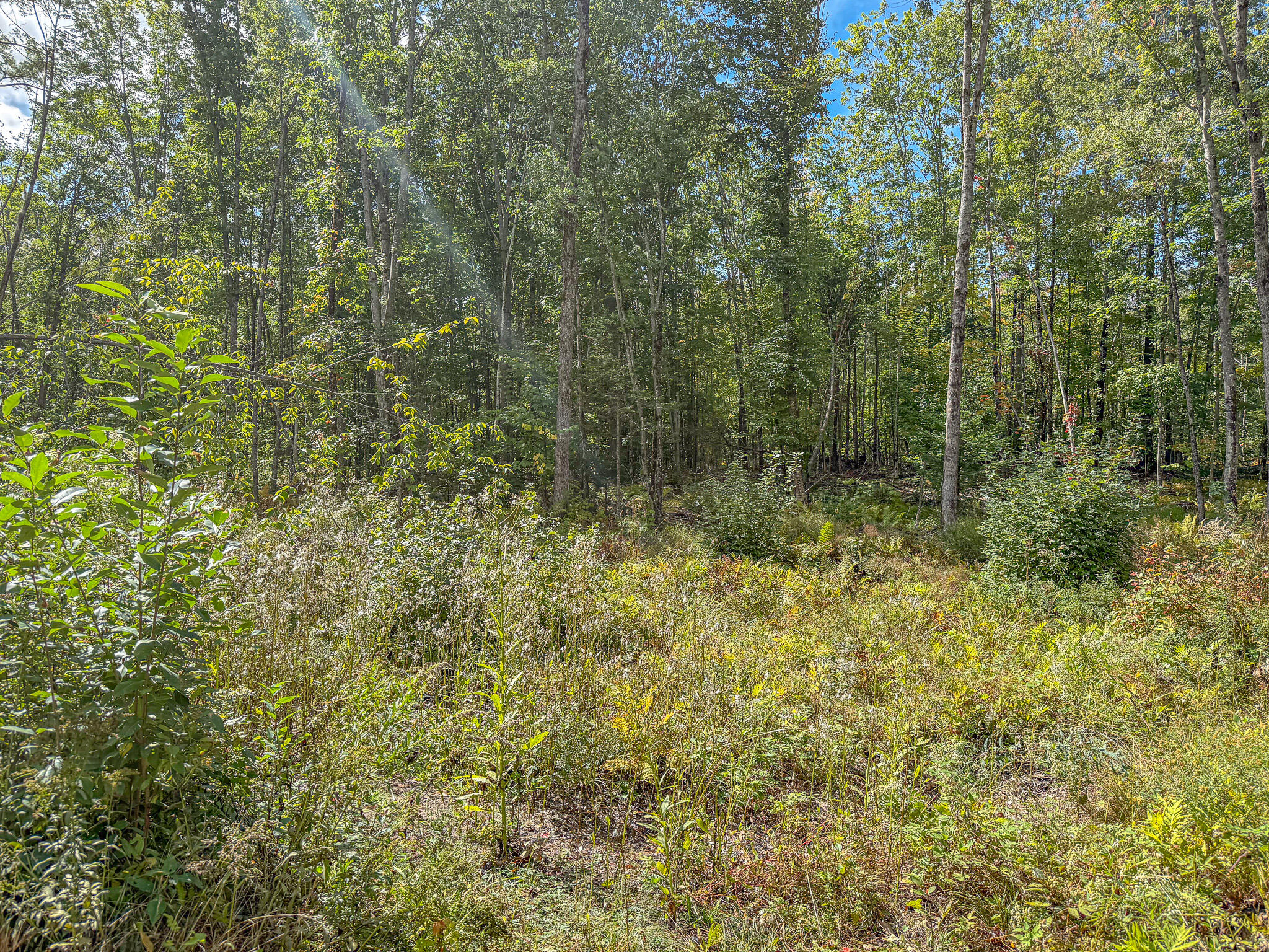 Lot 23 Paradis Road Property Photo 16