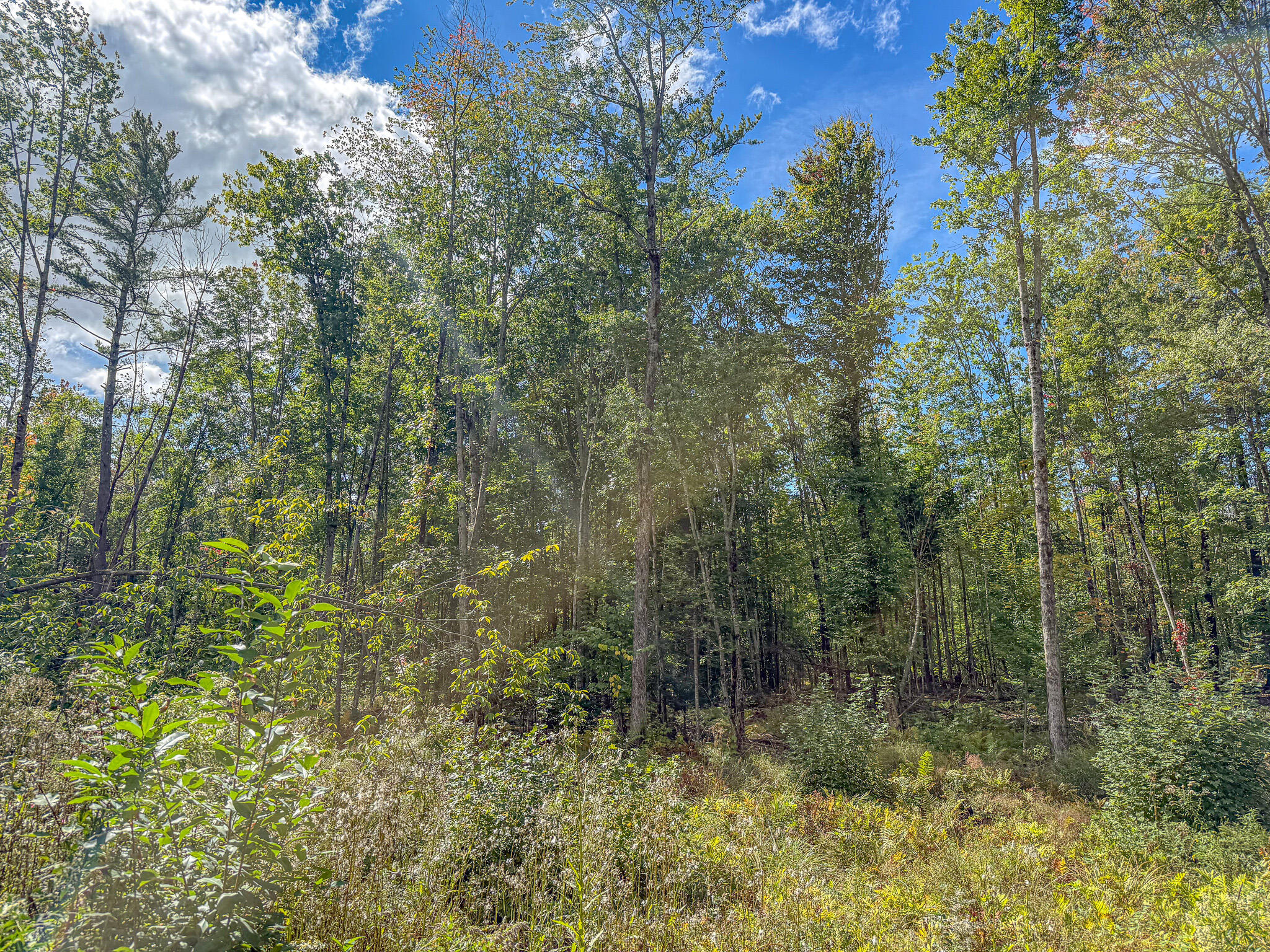 Lot 23 Paradis Road Property Photo 17