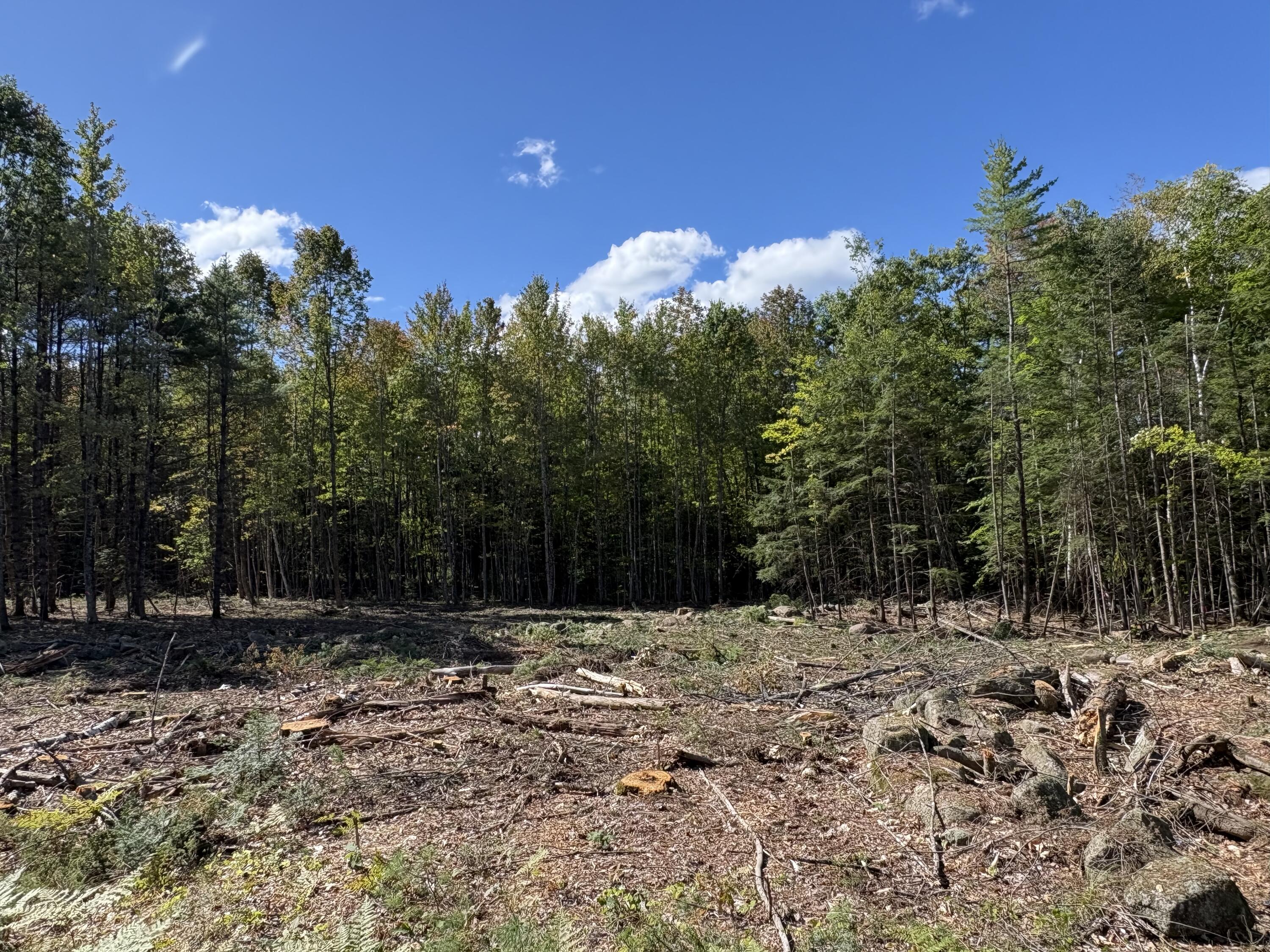 0 Edes Falls Road Property Photo 3