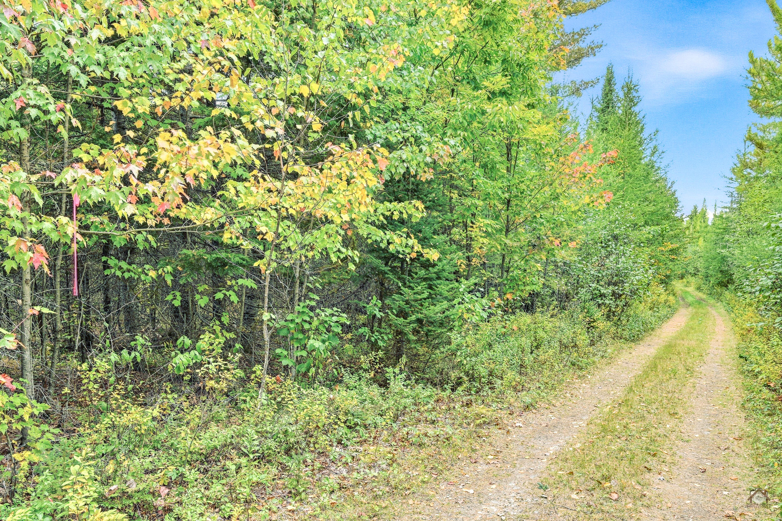 Lot B Longfellow Lane Property Photo 18