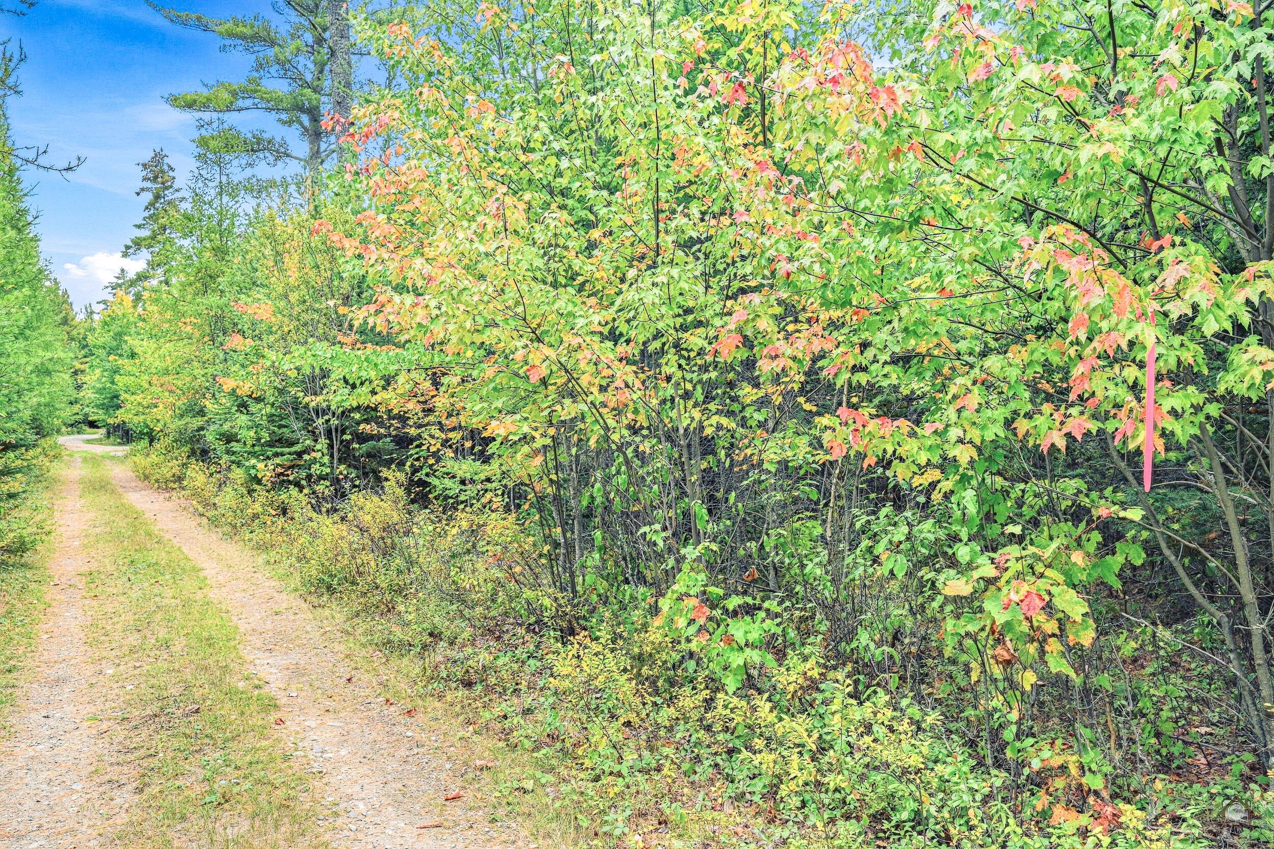 Lot B Longfellow Lane Property Photo 19