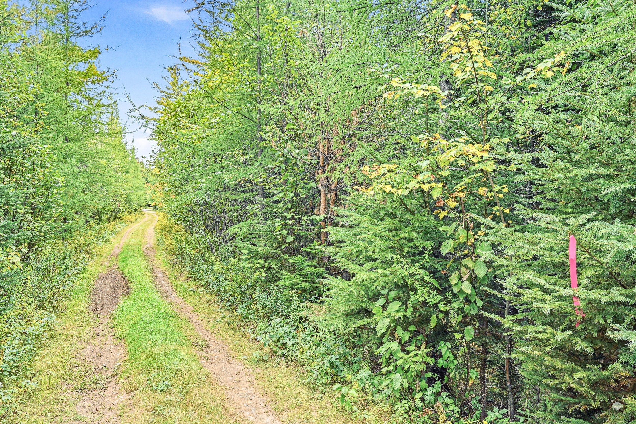 Lot B Longfellow Lane Property Photo 20
