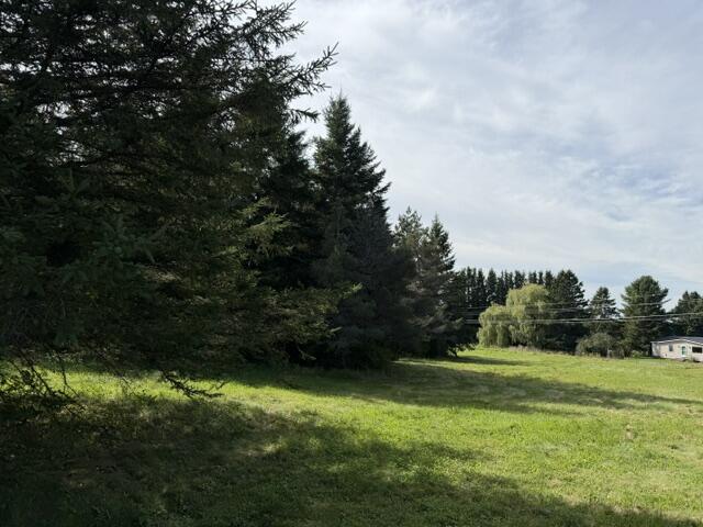 52 Sawyer Road Property Photo 5