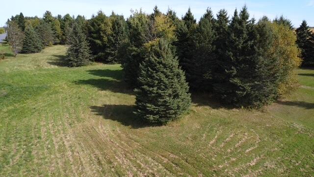 52 Sawyer Road Property Photo 22